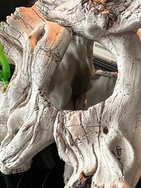 Fish tank drift wood